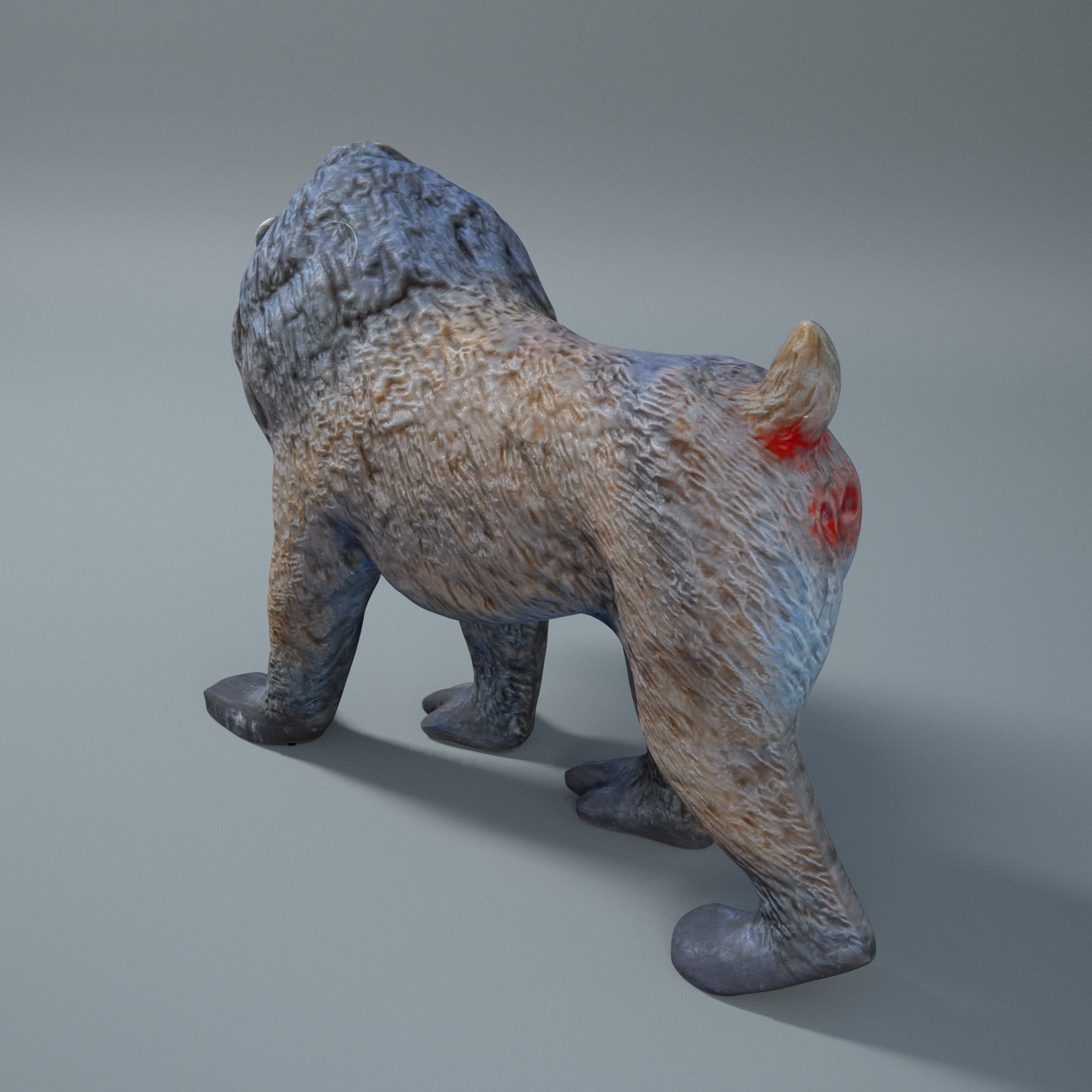 Mandrill baboon 3D model_3