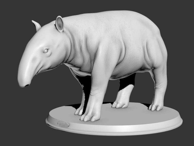 Tapir Printable 3D print model_5