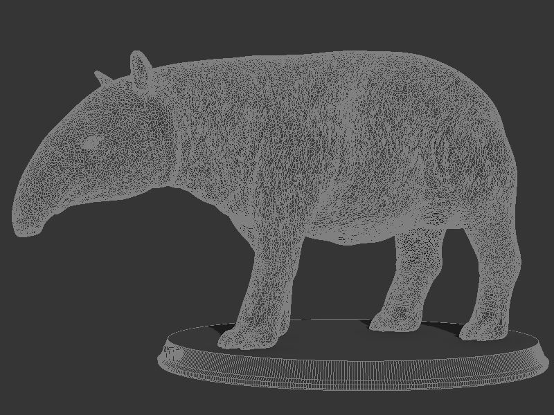 Tapir Printable 3D print model_7