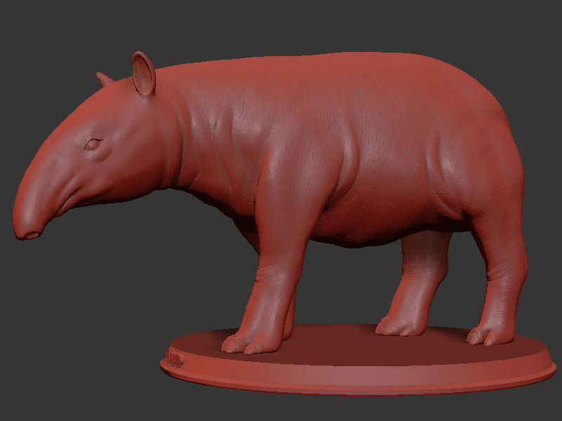 Tapir Printable 3D print model_6