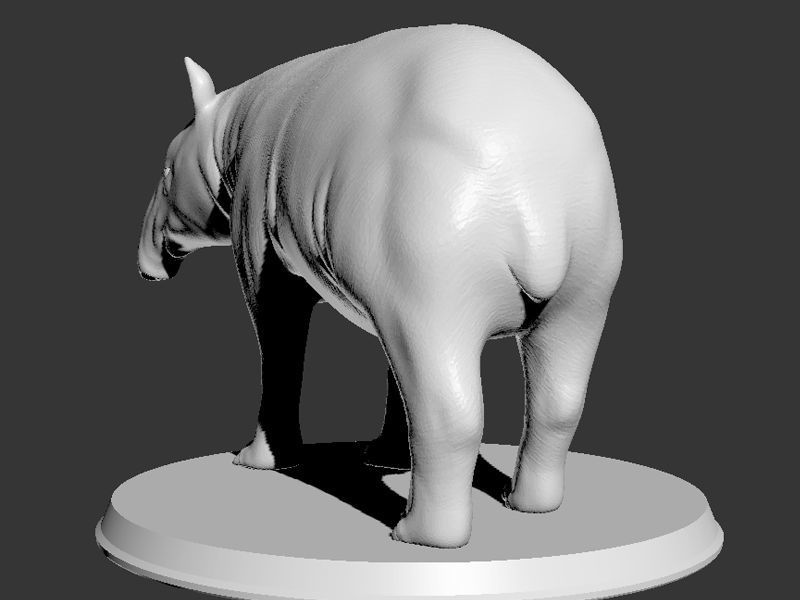 Tapir Printable 3D print model_8