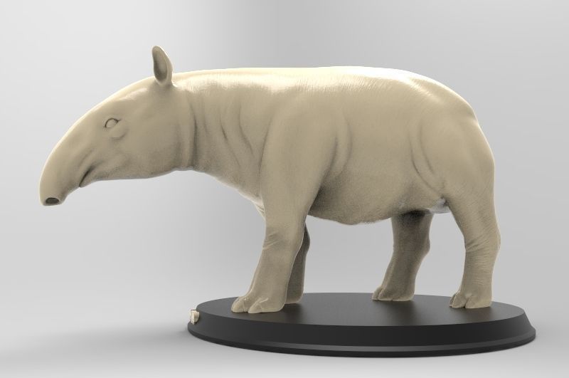 Tapir Printable 3D print model_1