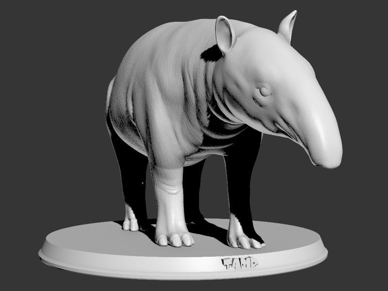Tapir Printable 3D print model_9
