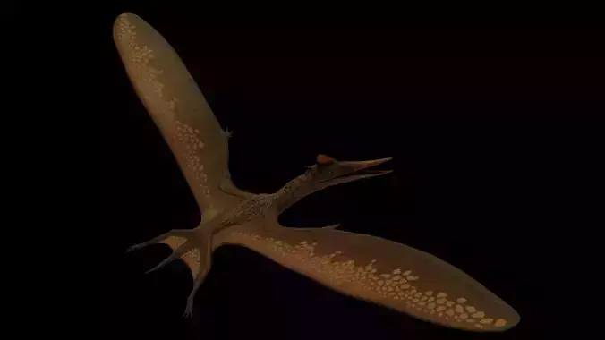 Pterodactyl Antiquus Asset Pack Low-poly 3D model