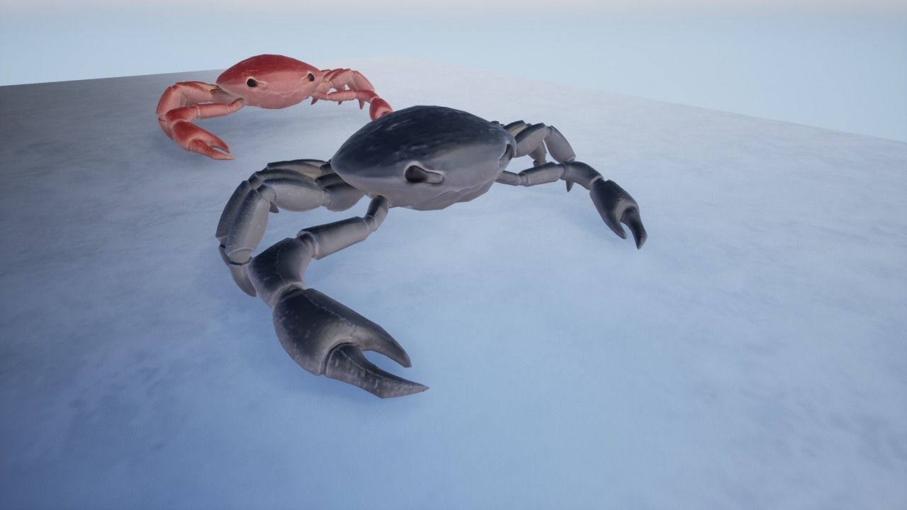 3D Crab Low-poly 3D model_9