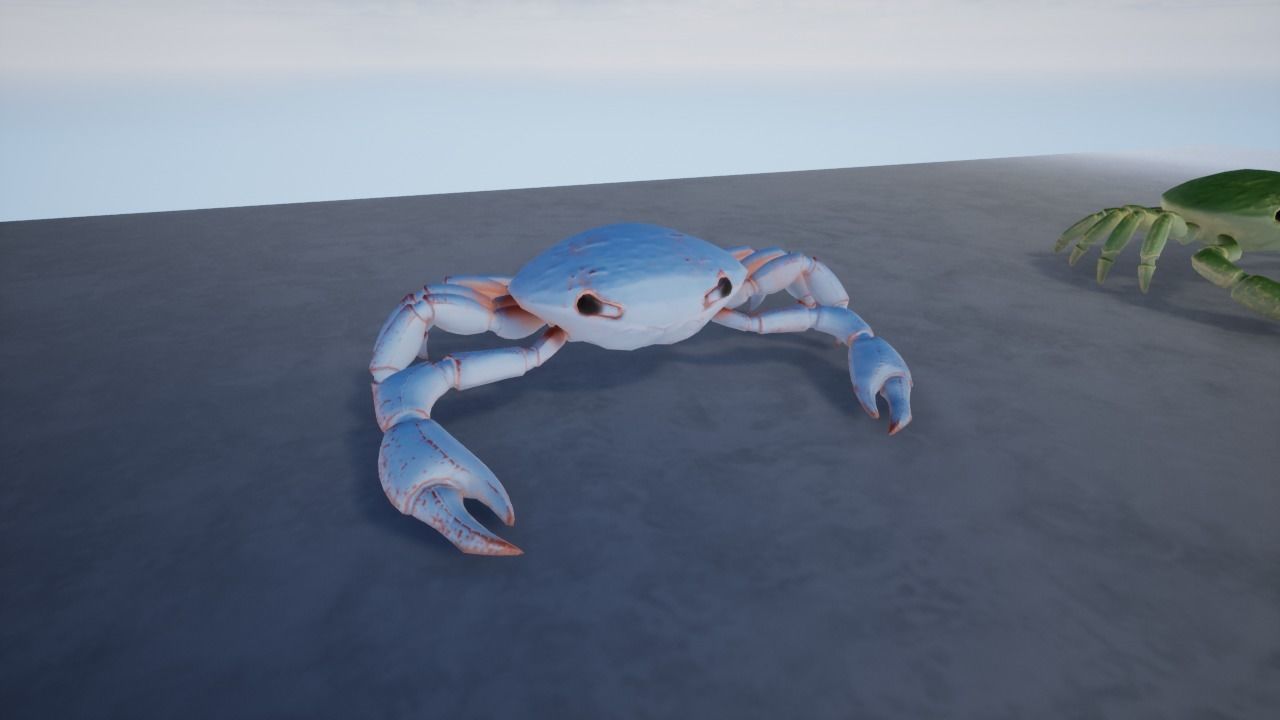 3D Crab Low-poly 3D model_6