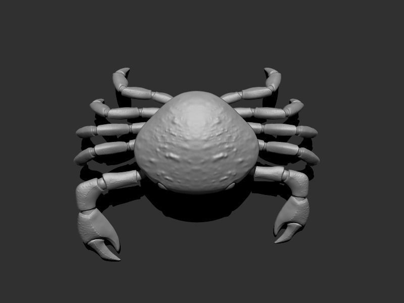 3D Crab Low-poly 3D model_20