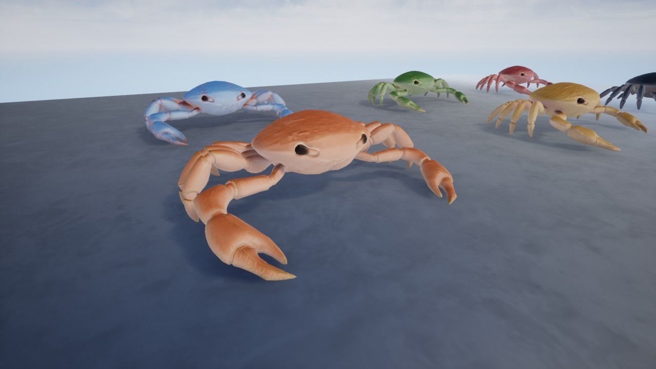 3D Crab Low-poly 3D model_11