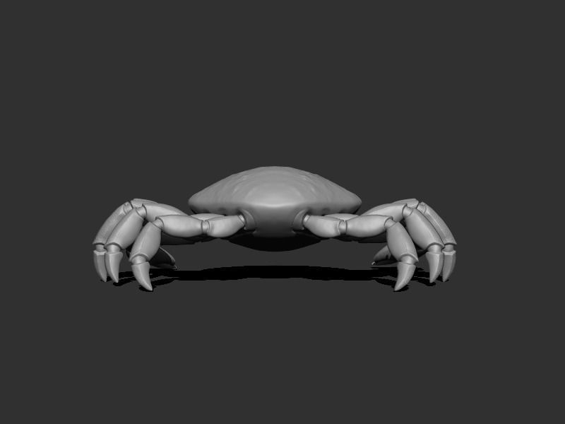 3D Crab Low-poly 3D model_21