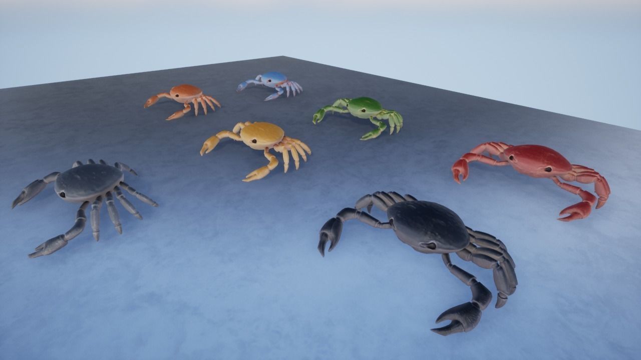 3D Crab Low-poly 3D model_4