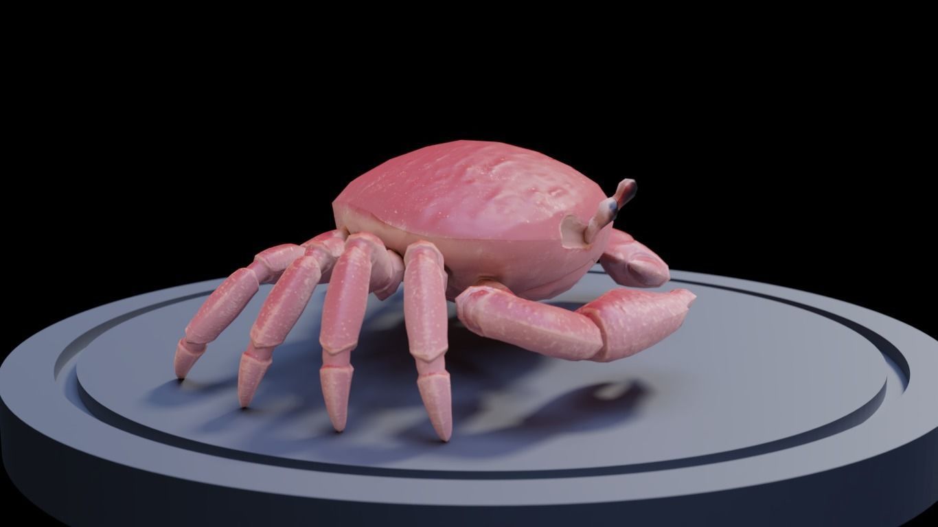 3D Crab Low-poly 3D model_2