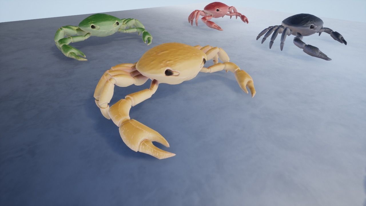 3D Crab Low-poly 3D model_10