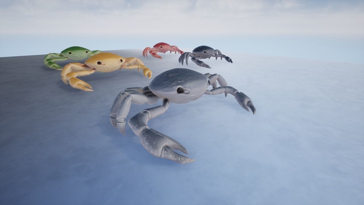 3D Crab Low-poly 3D model_12