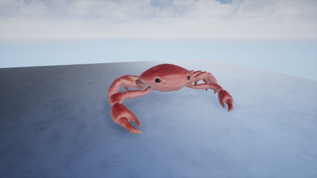 3D Crab Low-poly 3D model_8
