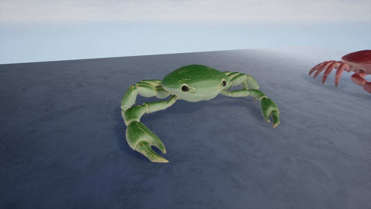3D Crab Low-poly 3D model_7