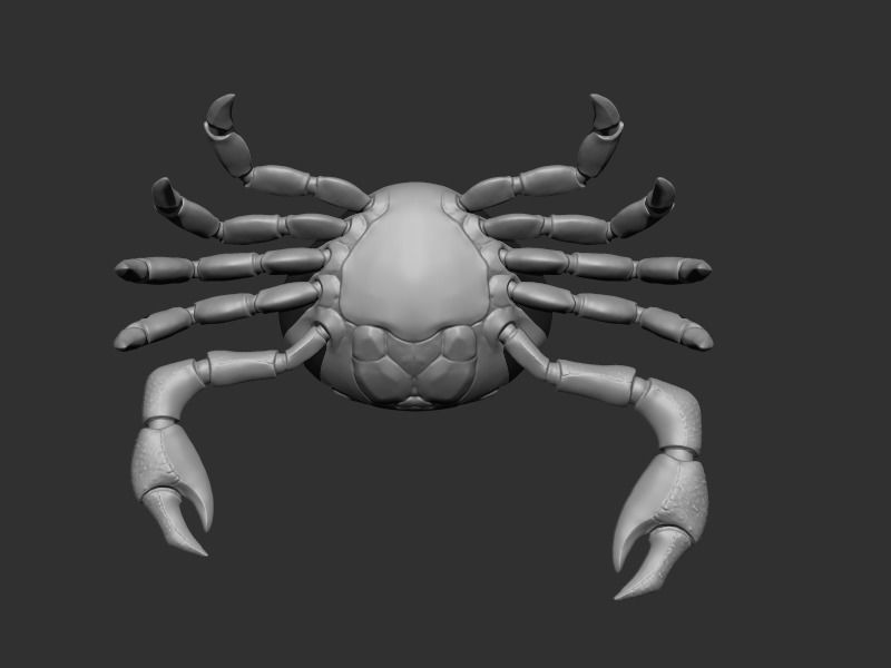 3D Crab Low-poly 3D model_22