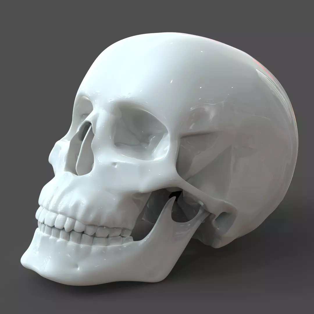 Human Skull model M3P1D1V1Skull 3D print model
