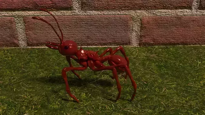 red ant