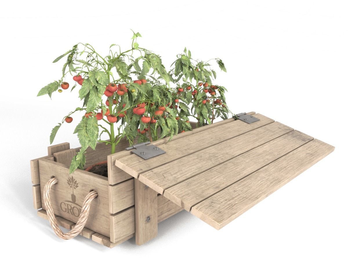 Tomato Plants in Wooden Crate 3D model_2