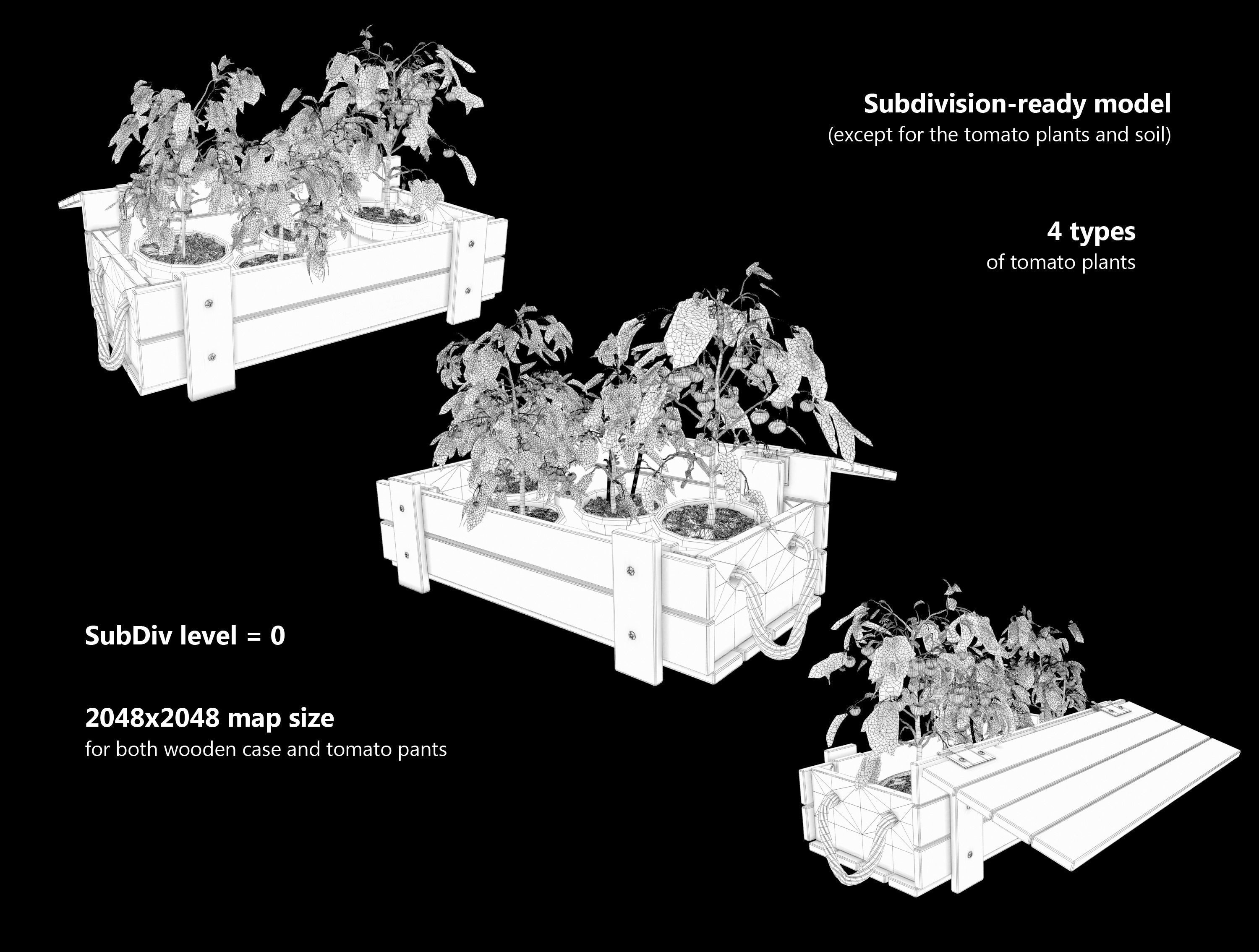 Tomato Plants in Wooden Crate 3D model_11
