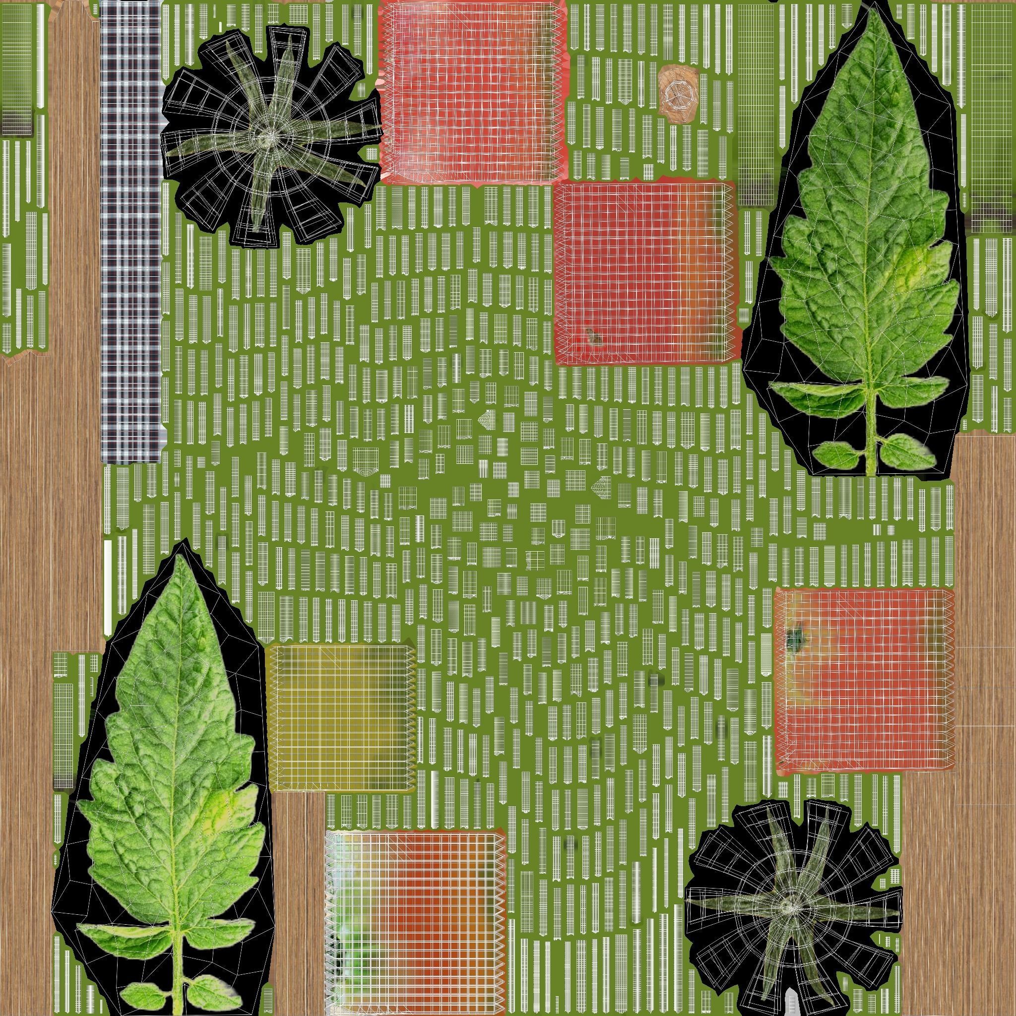 Tomato Plants in Wooden Crate 3D model_12