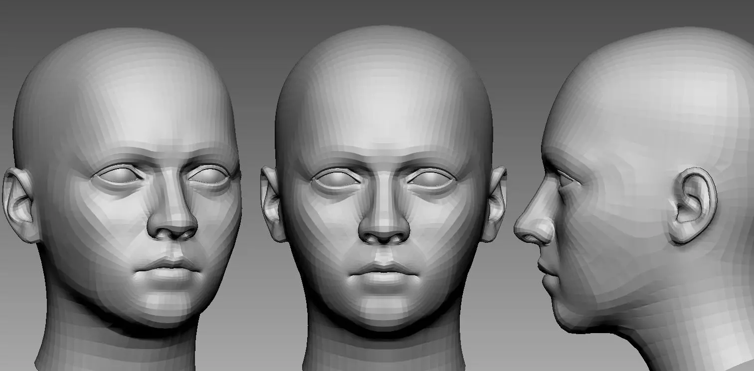 Arya Basemesh 3D model_0