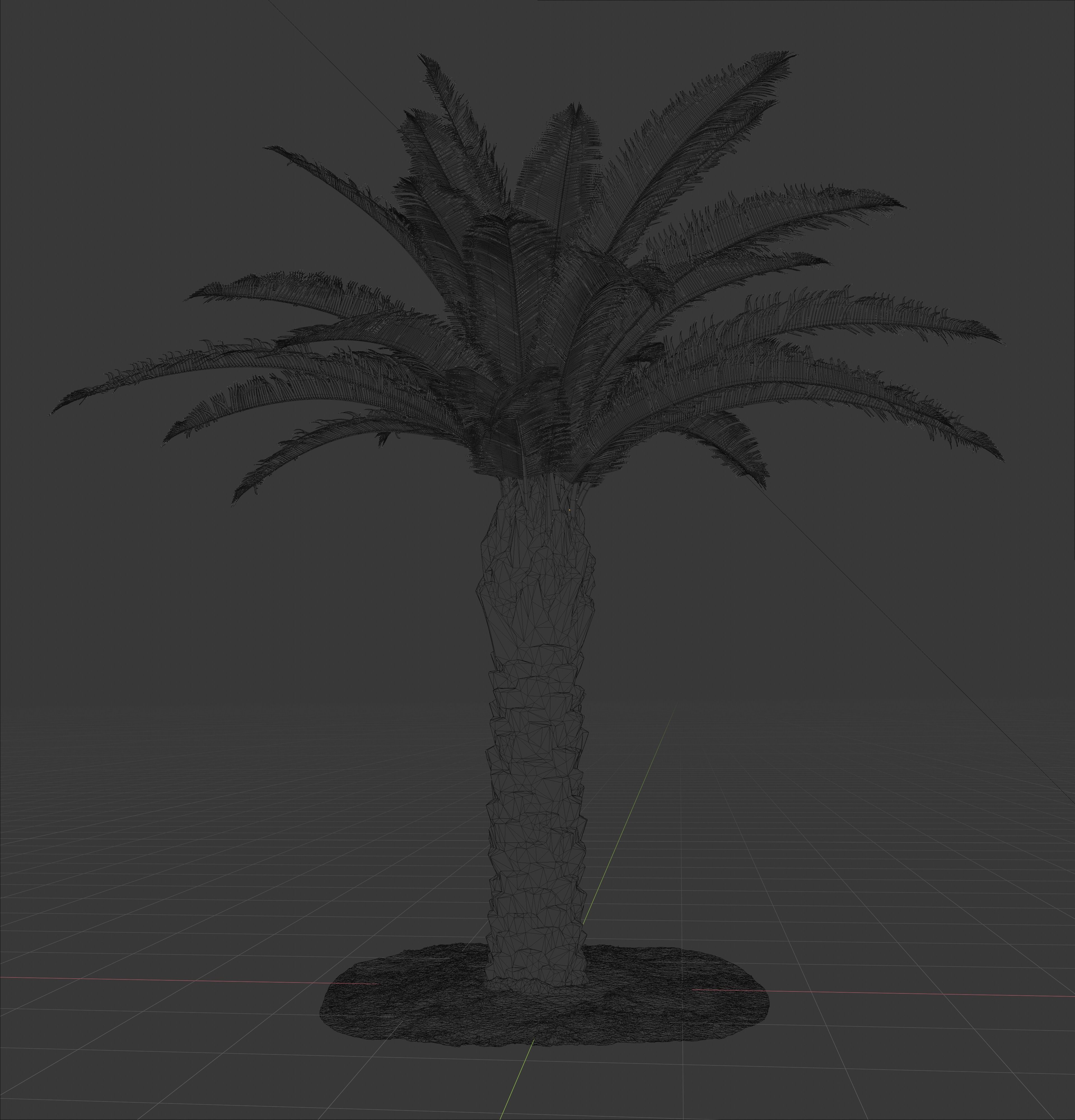 Phoenix Palm tree - variant01 - photoscan Low-poly 3D model_7