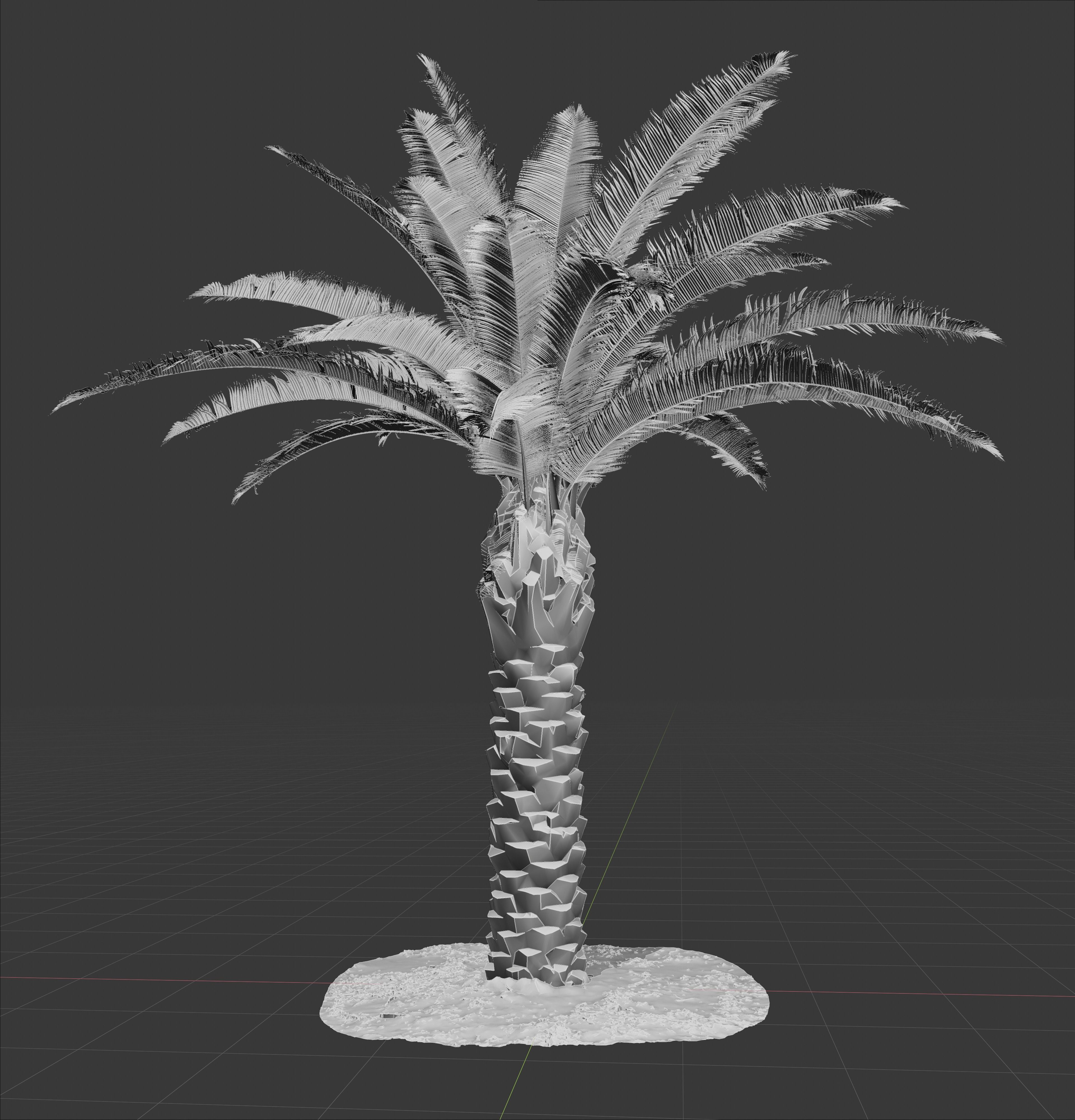 Phoenix Palm tree - variant01 - photoscan Low-poly 3D model_6