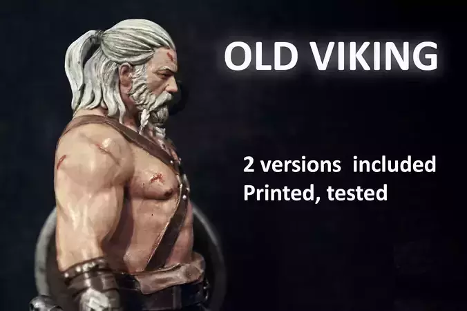 OLD Viking 3D print model
