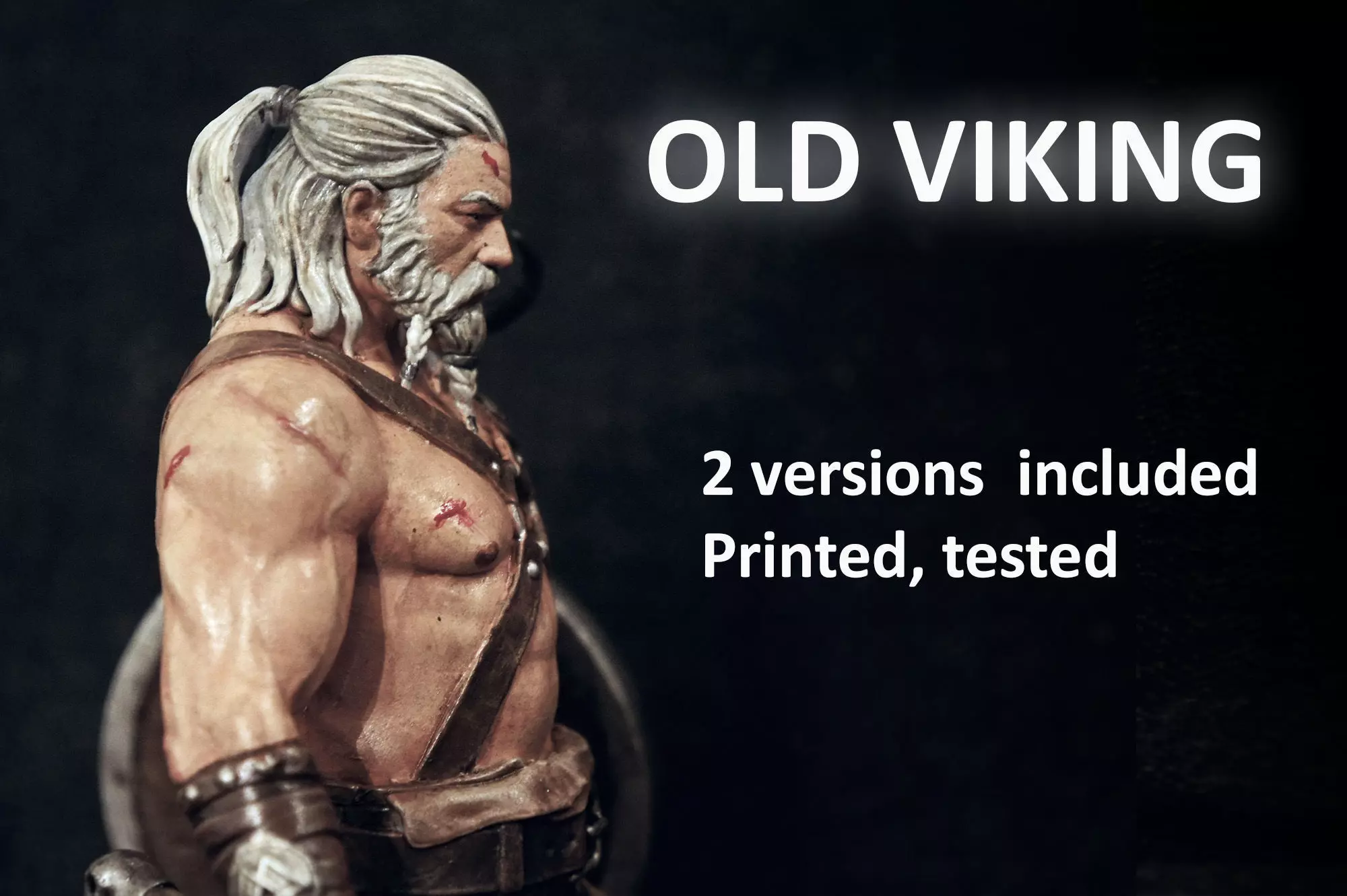 OLD Viking 3D print model_0