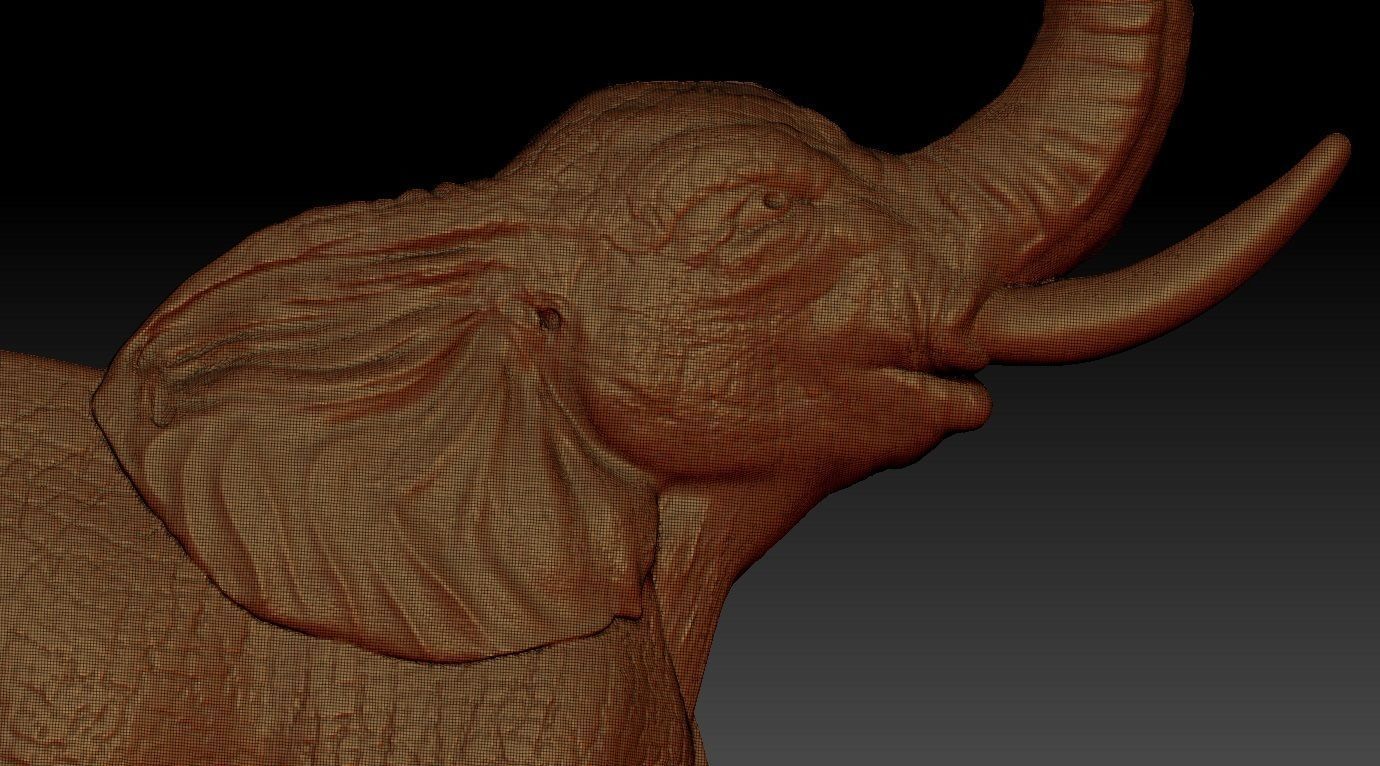 elephant relief 3D print model_6