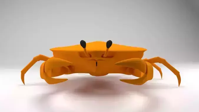 Crab - crustacean - Cangrejo