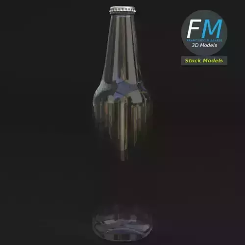 Empty beer bottle
