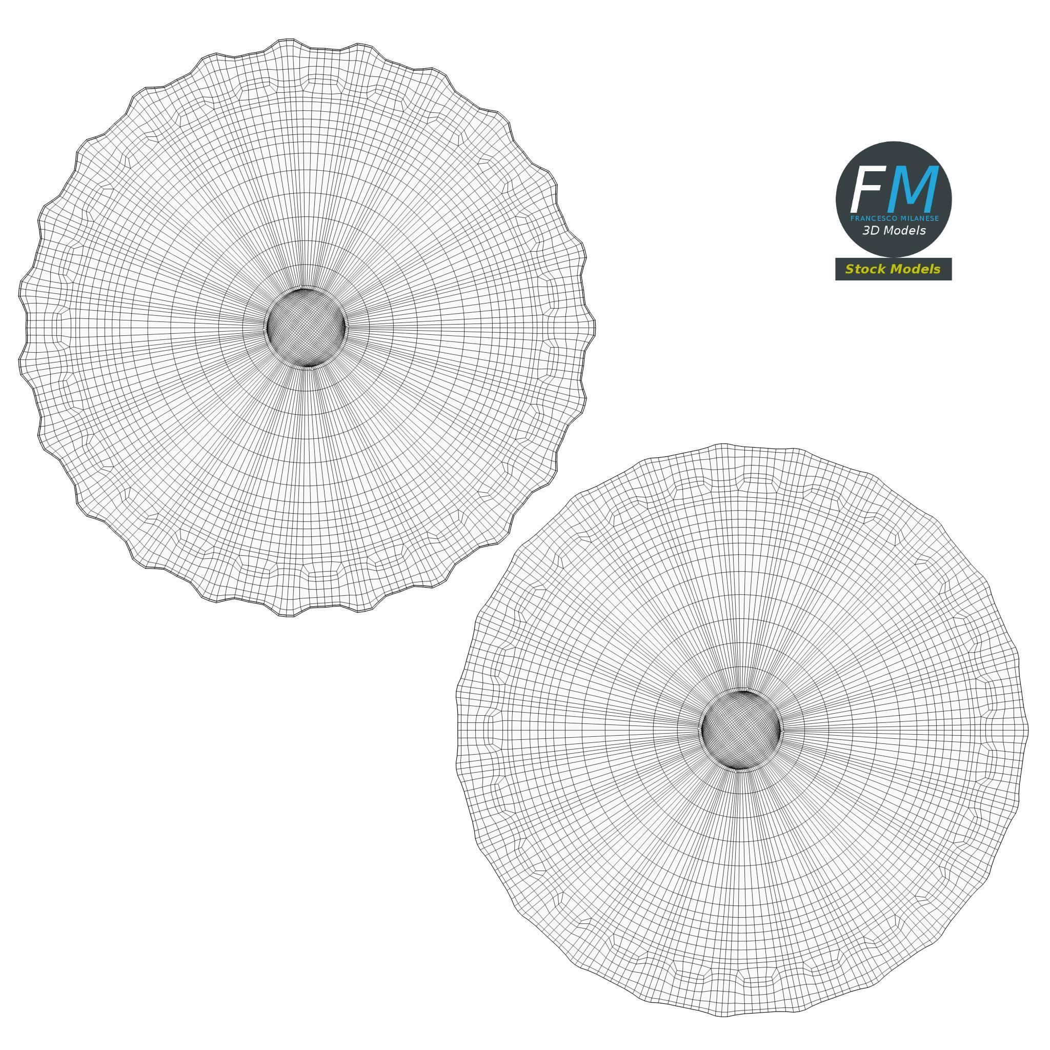 Empty beer bottle 3D model_12