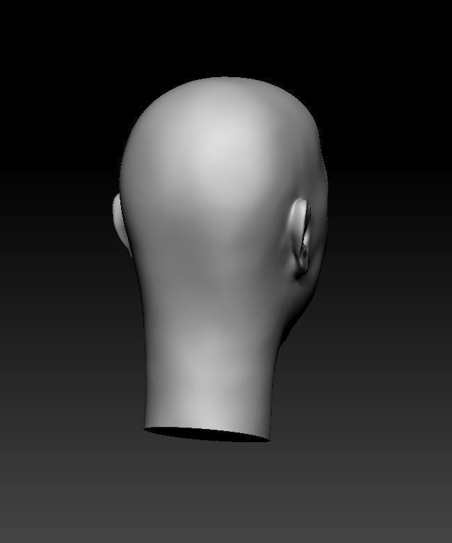 1 person 4 heads 3D print model_16