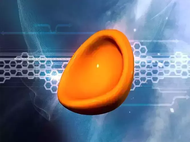 Half egg gravity chair Low-poly 3D model