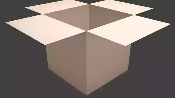 The box open cardboard