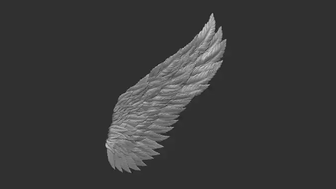 Wings 3D model angel wing