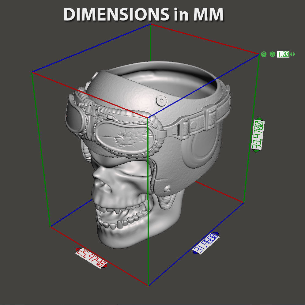 Biker helmet skull vol4 ring jewelry 3D print model_4