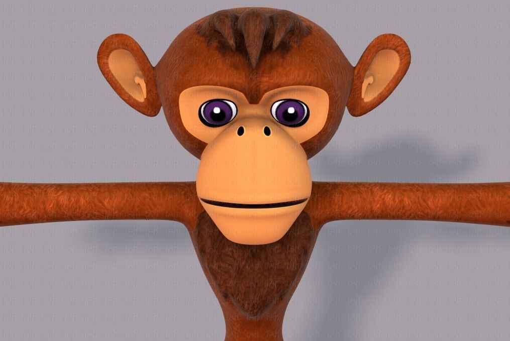 Monkey V02 Low-poly 3D model_41