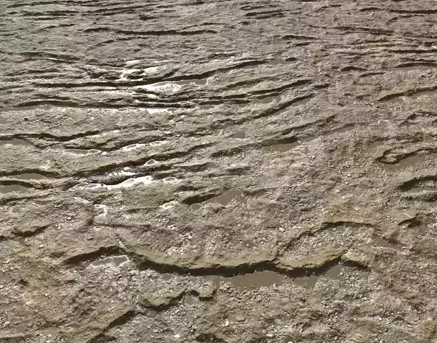 Muddy terrain and puddles 3 PBR