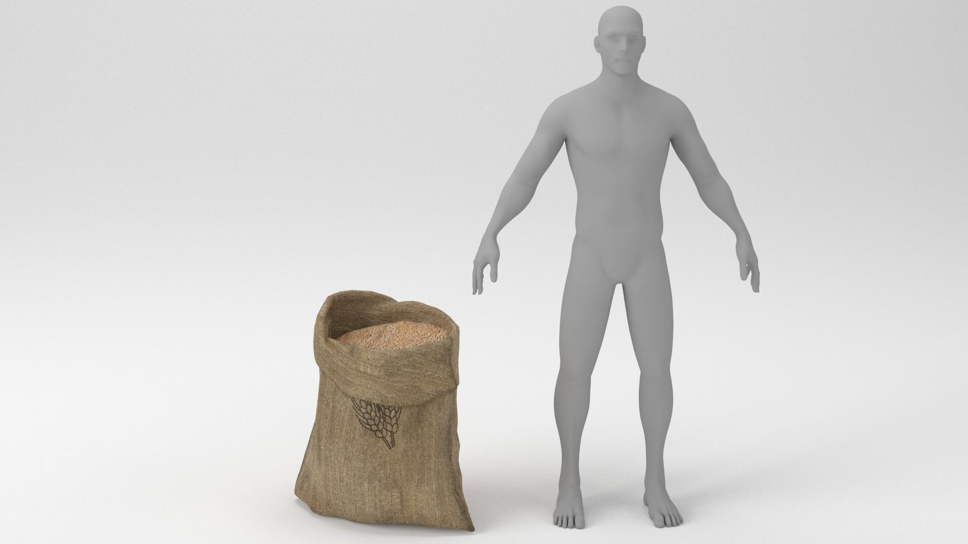 Food Sack Grain Open 3D Model 3D model_6