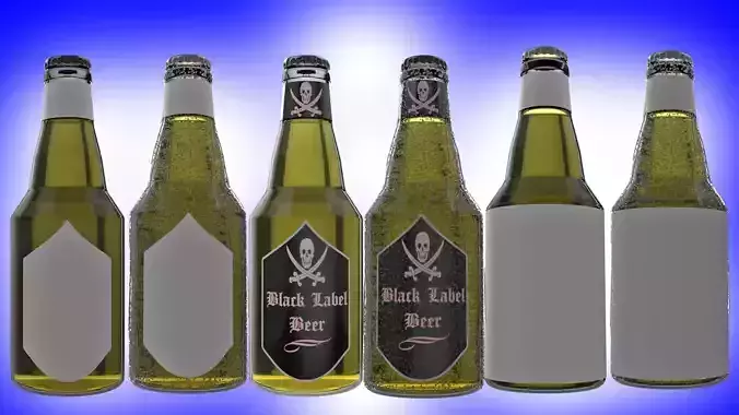 Beer Bottle with Beer and Condensation v02