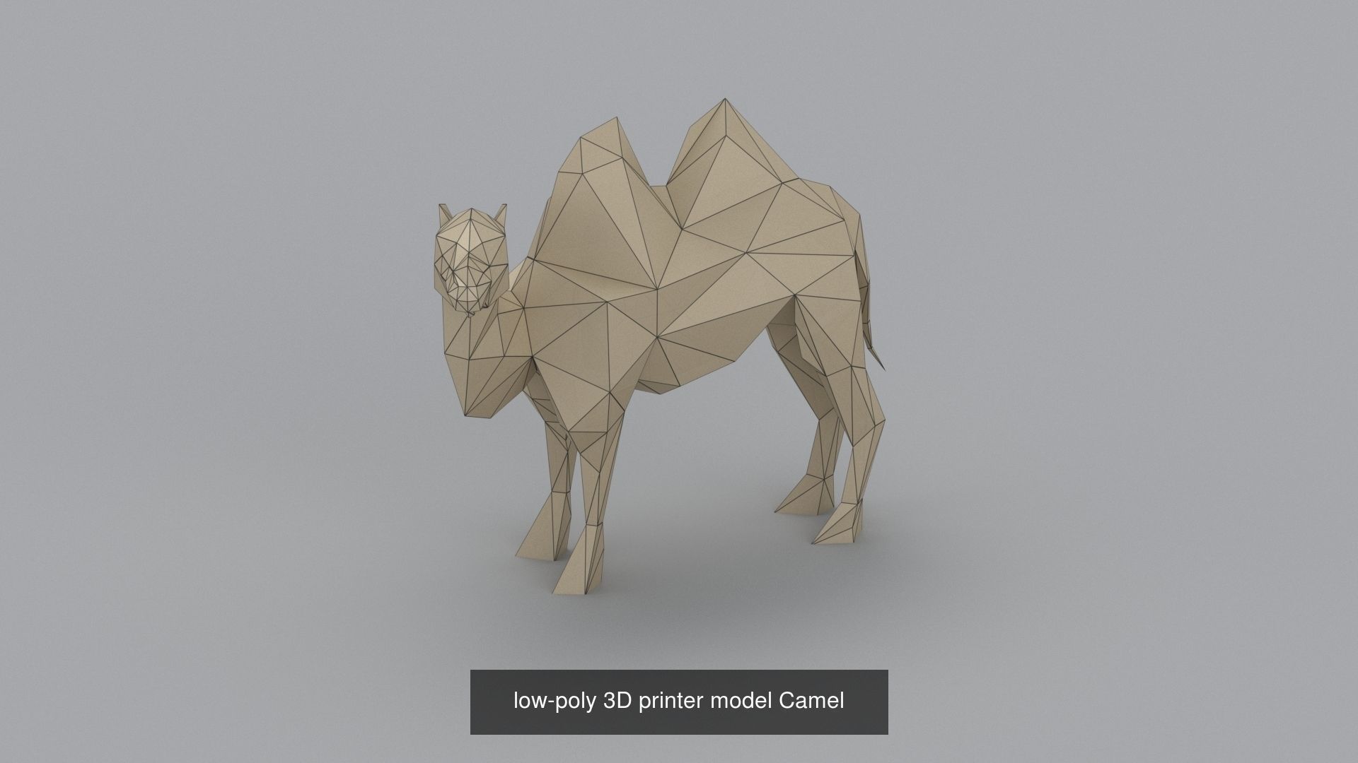 3d models for animals for papercraft or 3d printing 3D Model Collection_13