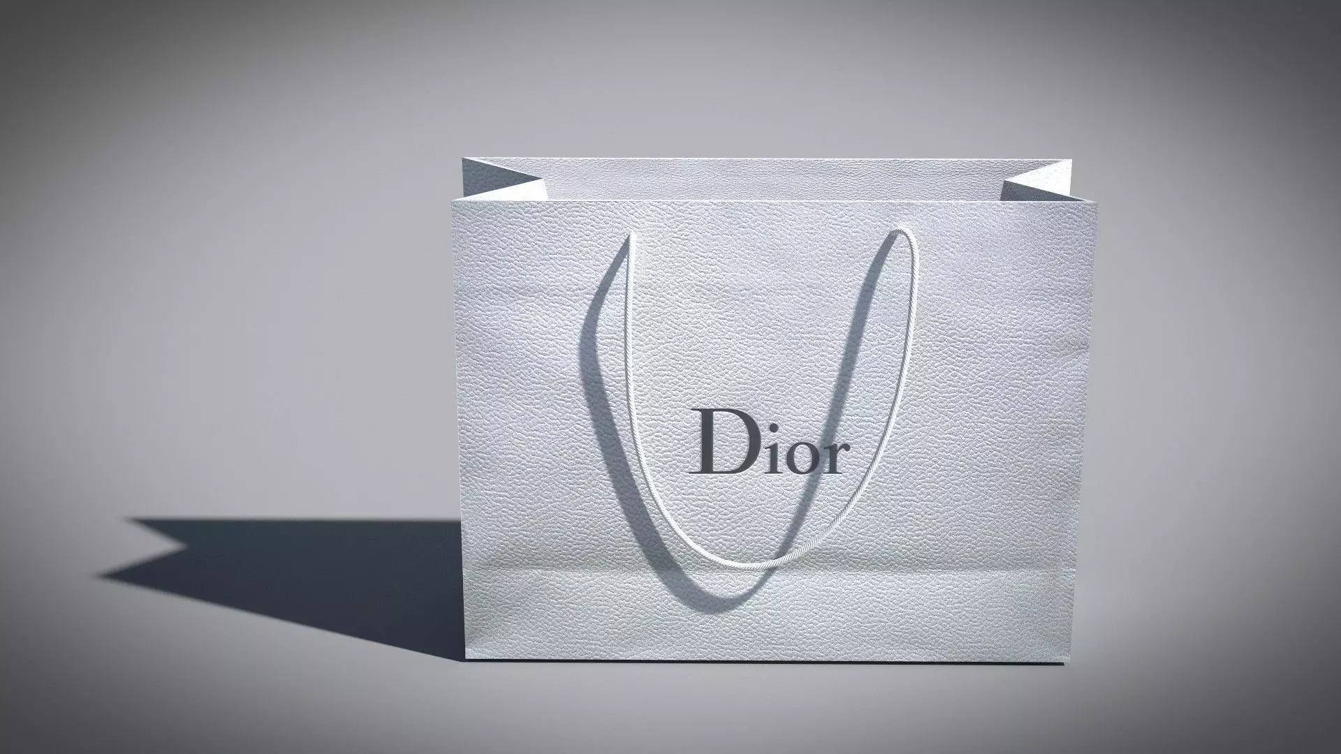 Designer Shopping Bag - Dior 3D model_0