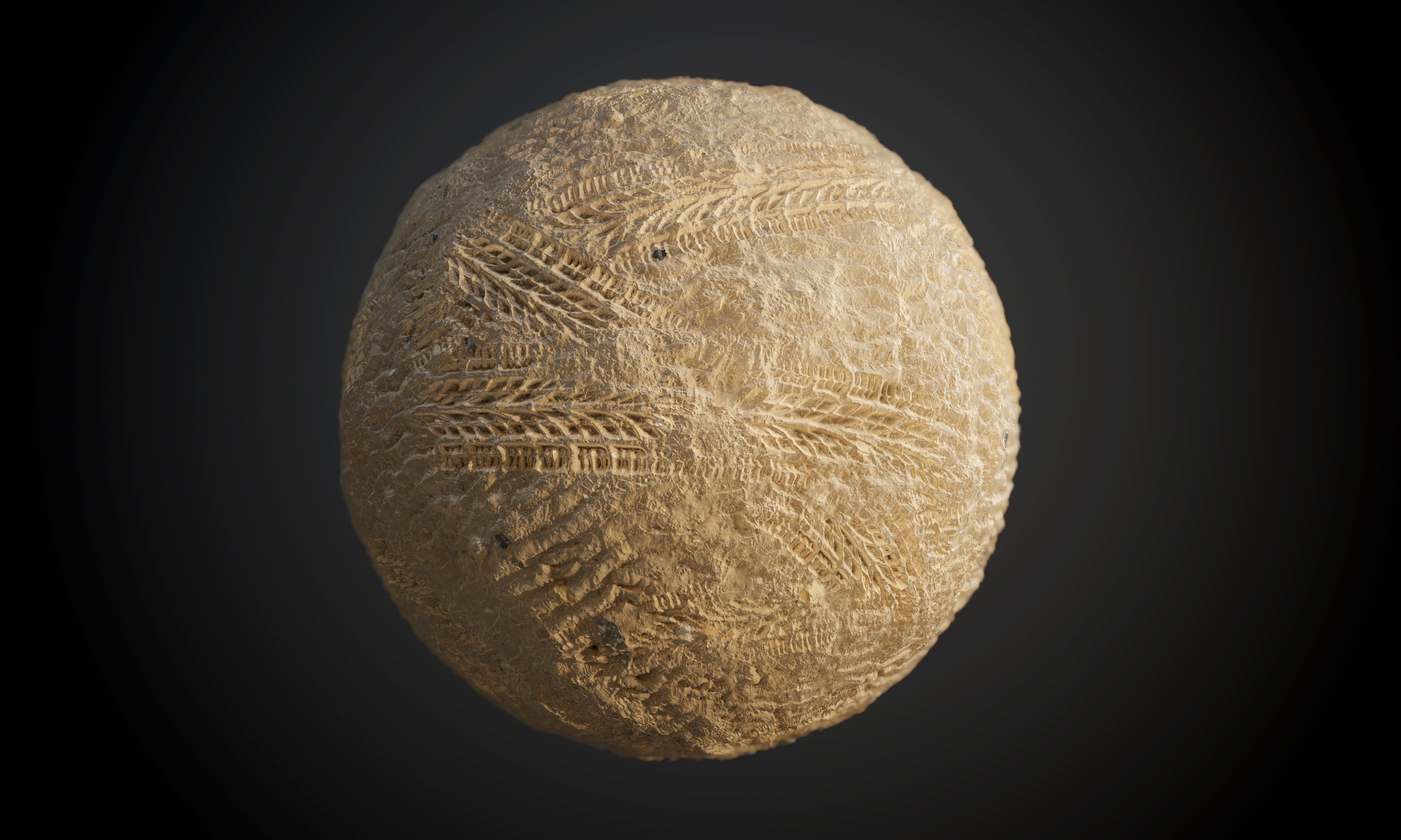 70 Ground Seamless PBR Texture Pack Texture_39