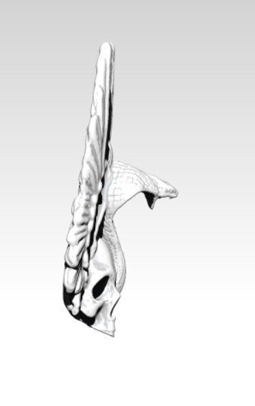 Skull Snake Cobra Wings Pendant 3D print model_2