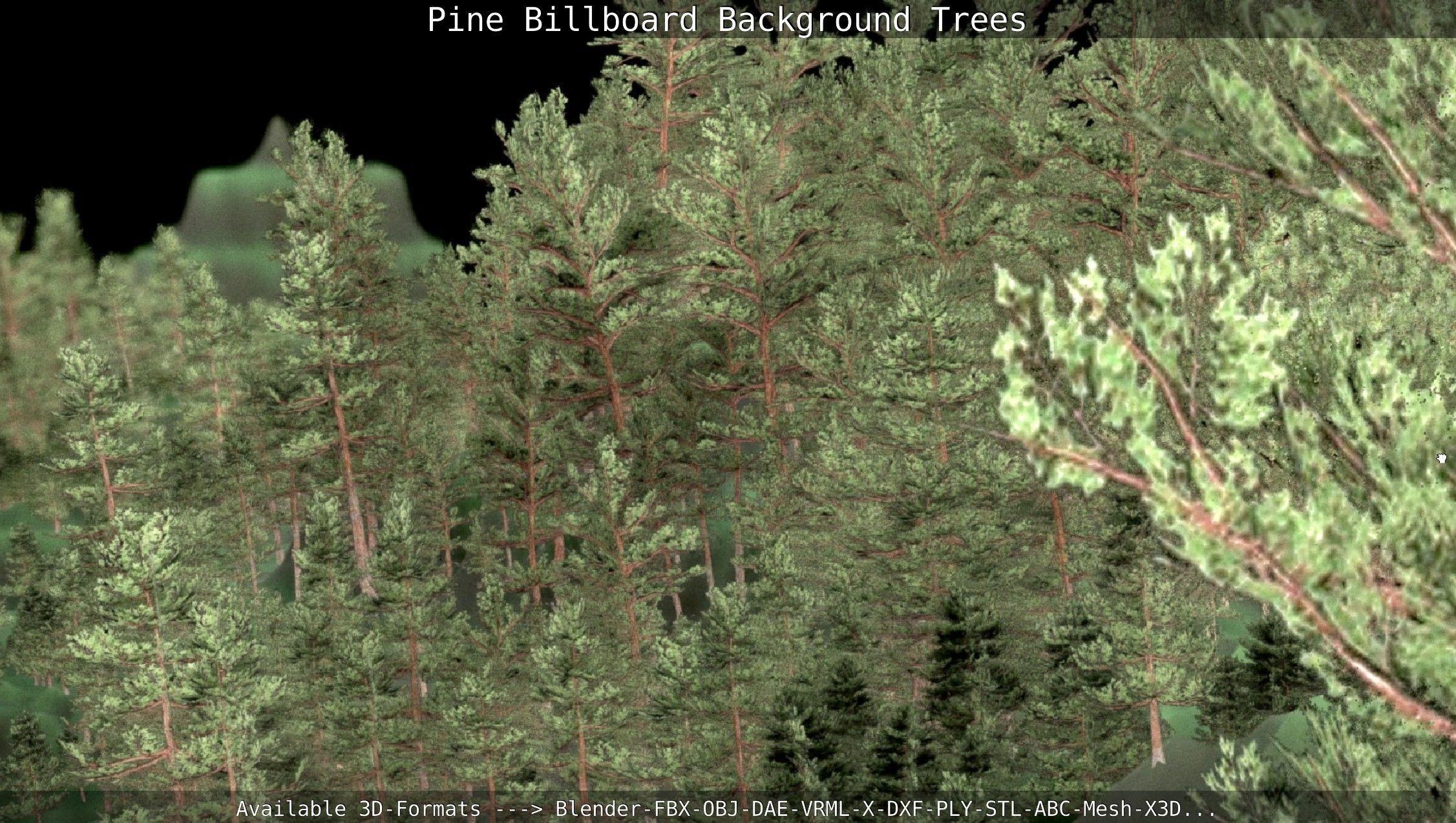 Pine Billboard Background Trees Low-poly 3D model_136