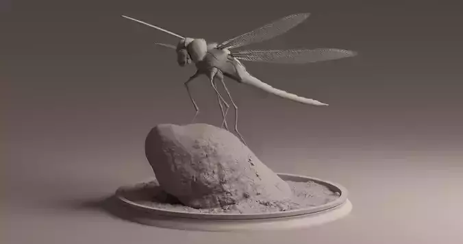 Dragon Fly - 3D model