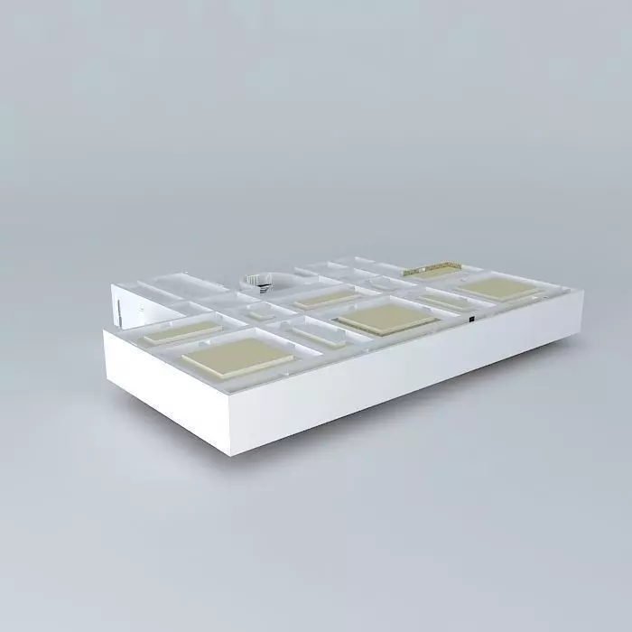 restaurant tray with compartments Free 3D model